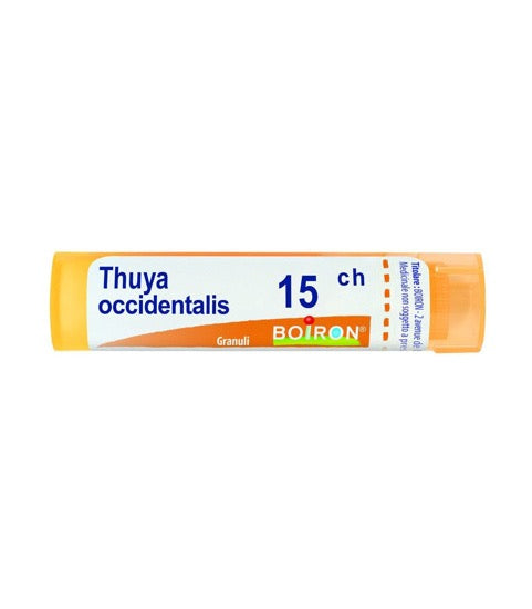 Thuya Occidentalis 15CH granuli 4g