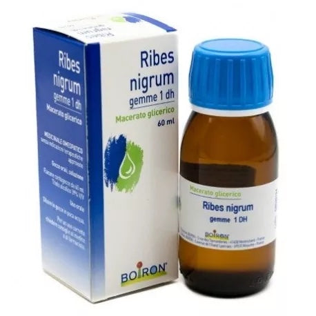 Ribes Nigrum Gemme 60ml Macerato Glicerico