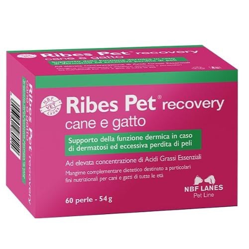 Ribes Pet Recovery Cane e Gatto 60 perle