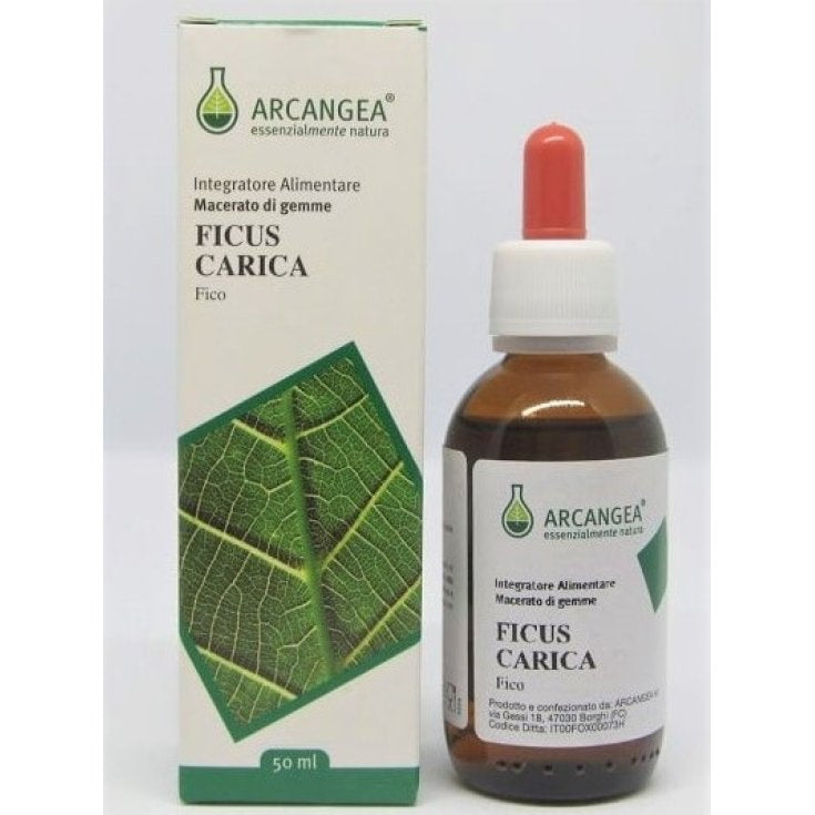 Ficus Carica Bio 33 Gemmoderivato 50ml