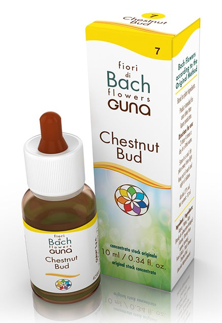 Chestnut Bud gocce 10ml