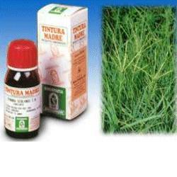 Gramigna 37 50ml Tintura Madre