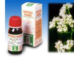 Valeriana 36 Tintura Madre 50ml