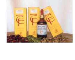Ribes Gemme 100ml Macerato Glicerico