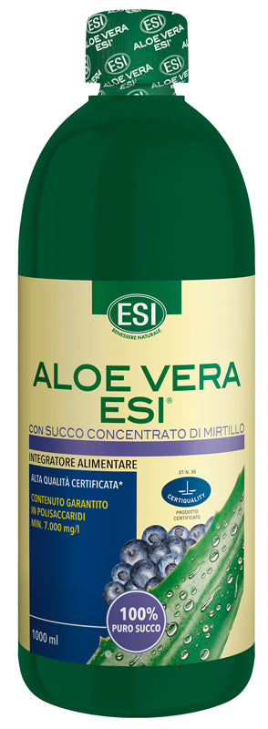 Aloe Vera al Succo di Mirtillo 1L